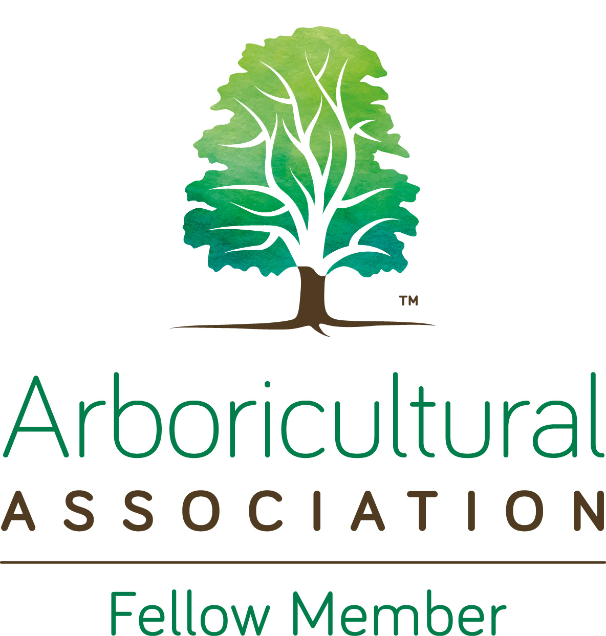 AA Fellow logo