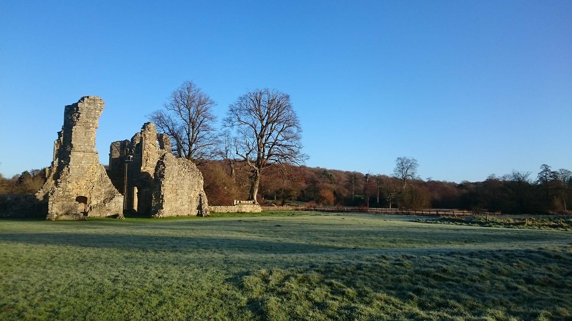 Photo of Castle ruins