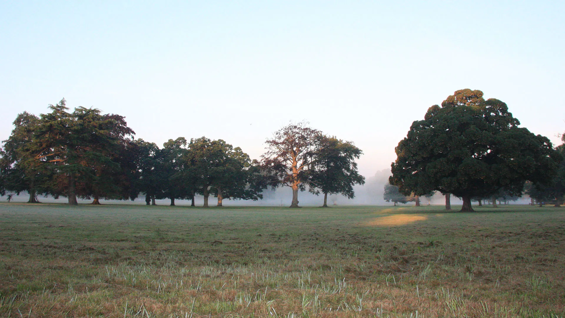 Photo of Greenlands, Henley